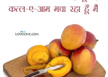 best mango status, shayari, quotes, thoughts & messages, best mango shayari, mango status lovesove