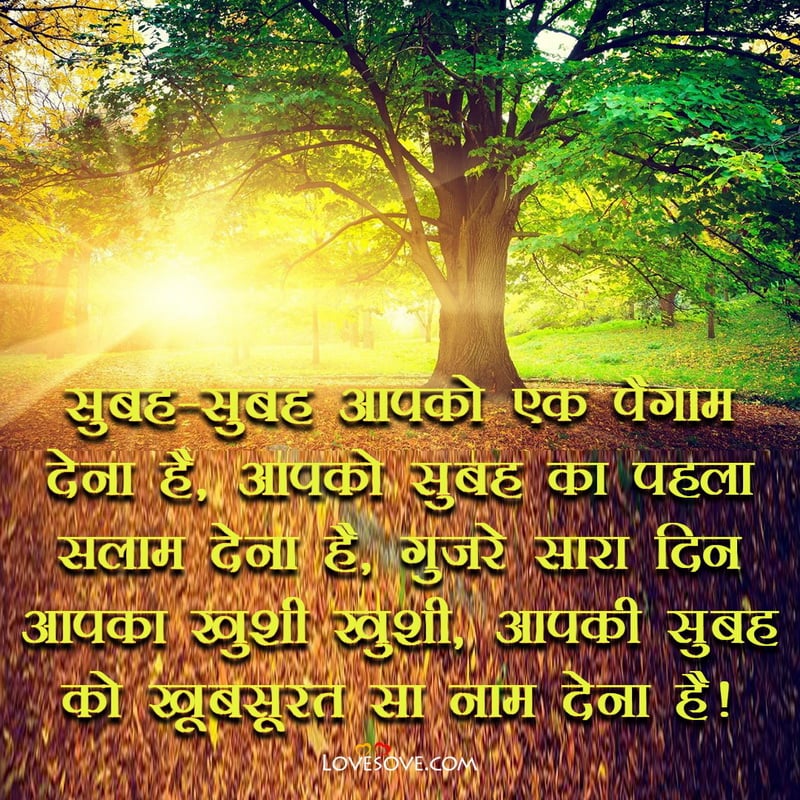 Good Morning Pic Shayari Love Download, Good Morning Shayari For My Love In Hindi, Good Morning Shayari With Love, Romantic Good Morning Shayari For Love,