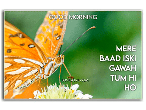 Kabhi Maine Chaha Tujhe Khudse Jyada – Good Morning Video Status
