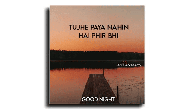 Tujhe Paya Nahin Hai Phir Bhi – Good Night Video Status