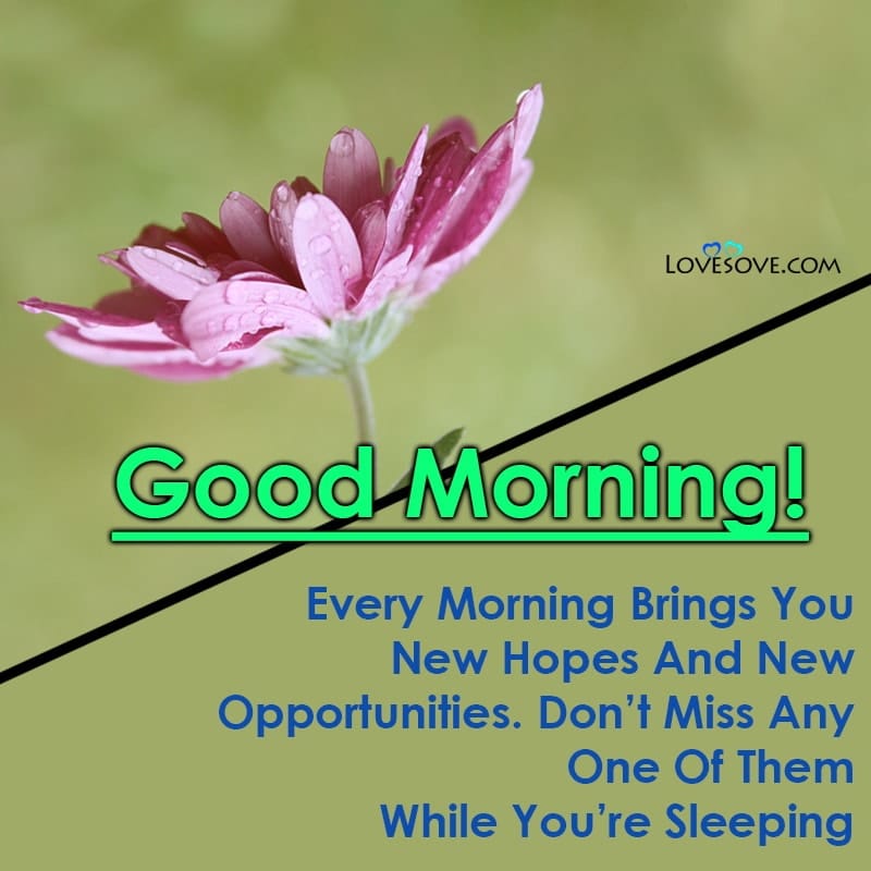 Every Morning Brings You New Hopes And New Opportunities
