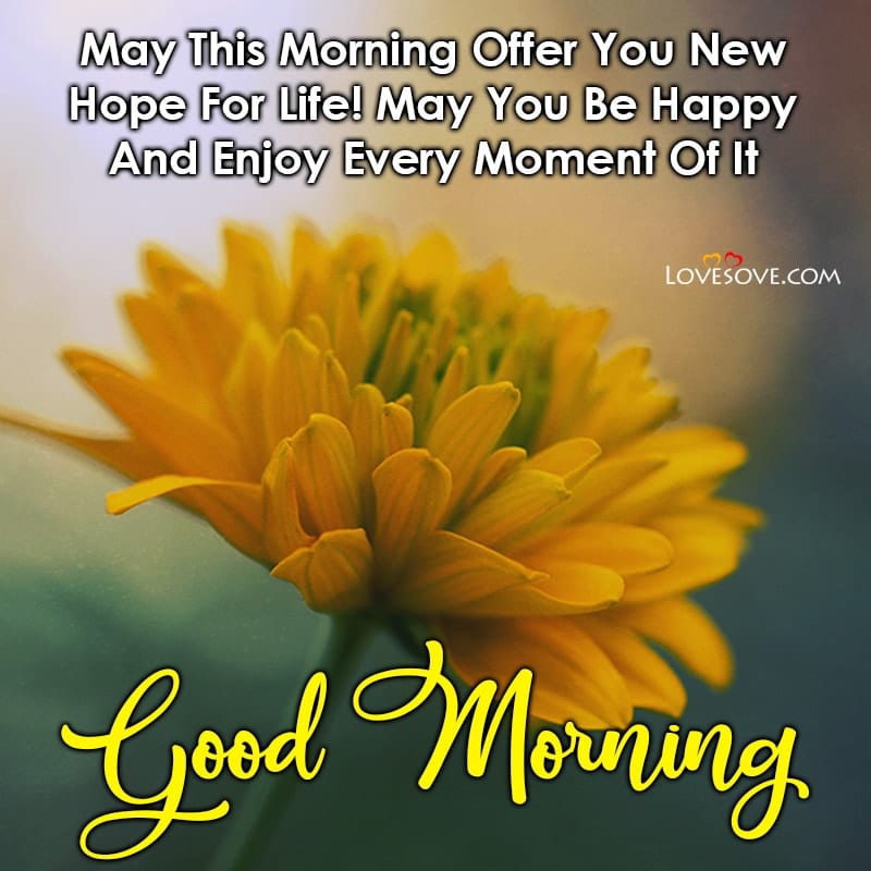 May This Morning Offer You New Hope For Life May You Be Happy
