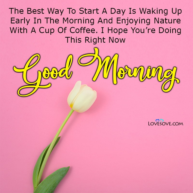 The Best Way To Start A Day Is Waking Up Early In The Morning