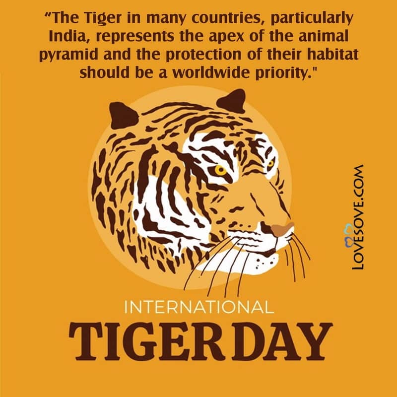 International Tiger Day Slogan Images, International Tiger Day Quotes