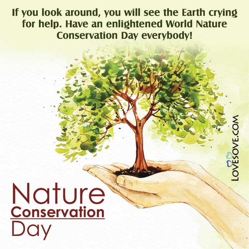 Best Quotes On World Nature Conservation Day, Nature Quotes