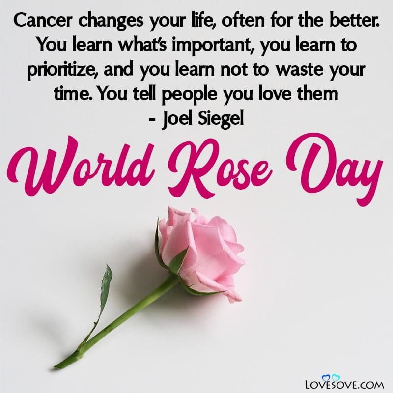 World Rose Day Quotes, World Rose Day Messages
