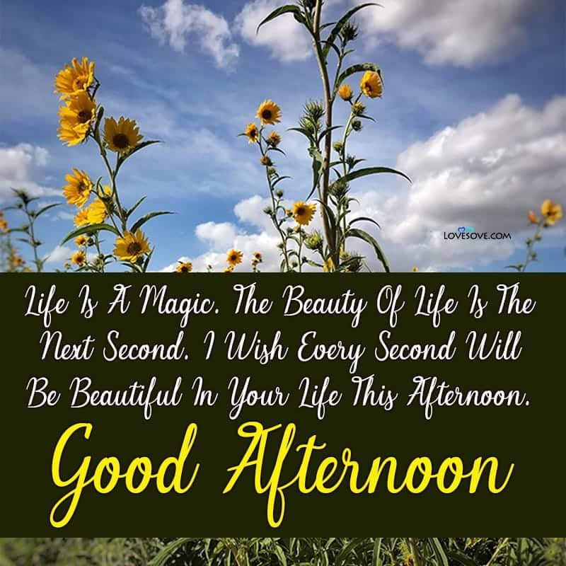 good afternoon photos with quotes in hindi, good afternoon thursday images and quotes, good afternoon friday images and quotes, good afternoon saturday images and quotes,