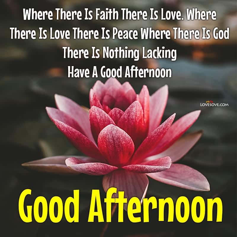 romantic good afternoon images with quotes, good afternoon sunday images and quotes, good afternoon images with quotes hindi, good afternoon god images with quotes,