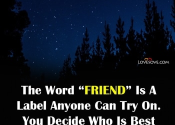 fake friends quotes, , fake friends quotes memes lovesove