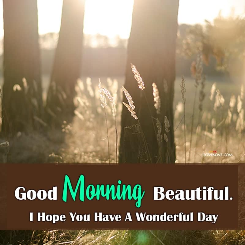 good morning message, good morning message in hindi, good morning messages for love, good morning messages for friends, good morning message to a friend,