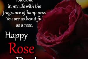 Happy Rose Day 2022 WhatsApp Status, Rose Quotes Images
