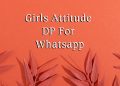 girls attitude dp for whatsapp, girls attitude dp