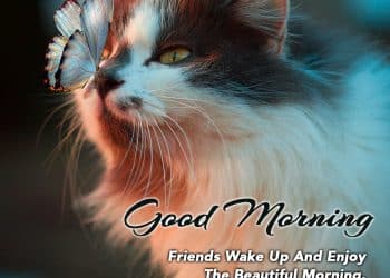 best morning wishes lovesove, good morning