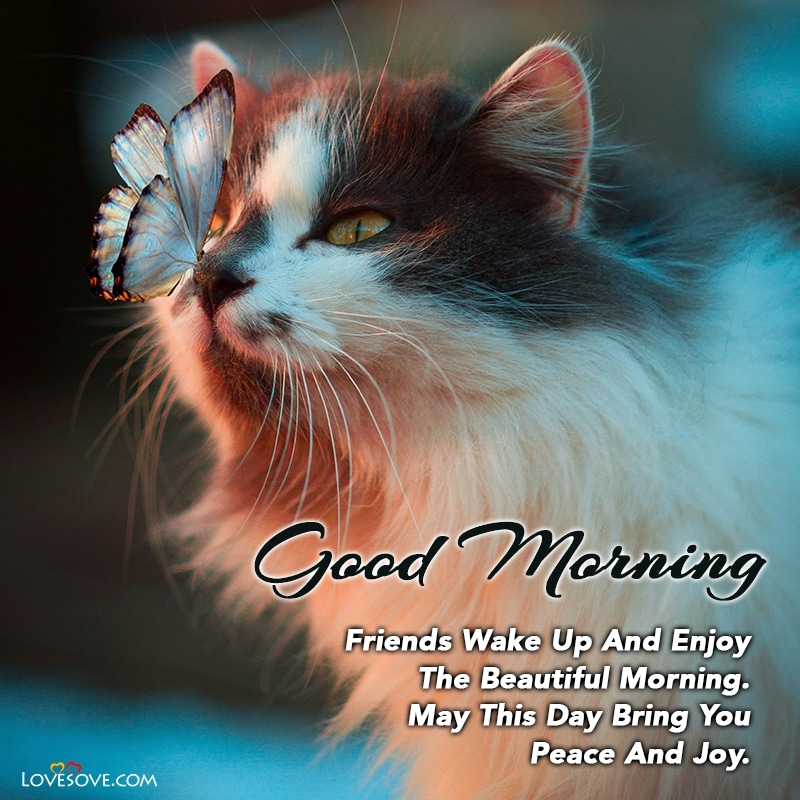 Beautiful Morning Wishes, Beautiful Good Morning, Cute Good Morning Wishes, Good Morning Cards, Good Morning Greeting Cards