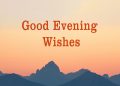 evening status, good evening wishes