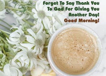 Good Morning Cards, Good Morning Friends Quotes, Good Morning Greeting Cards, Good Morning Greetings