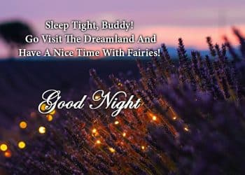 Good Night Message For Friends Lovesove, Good Night