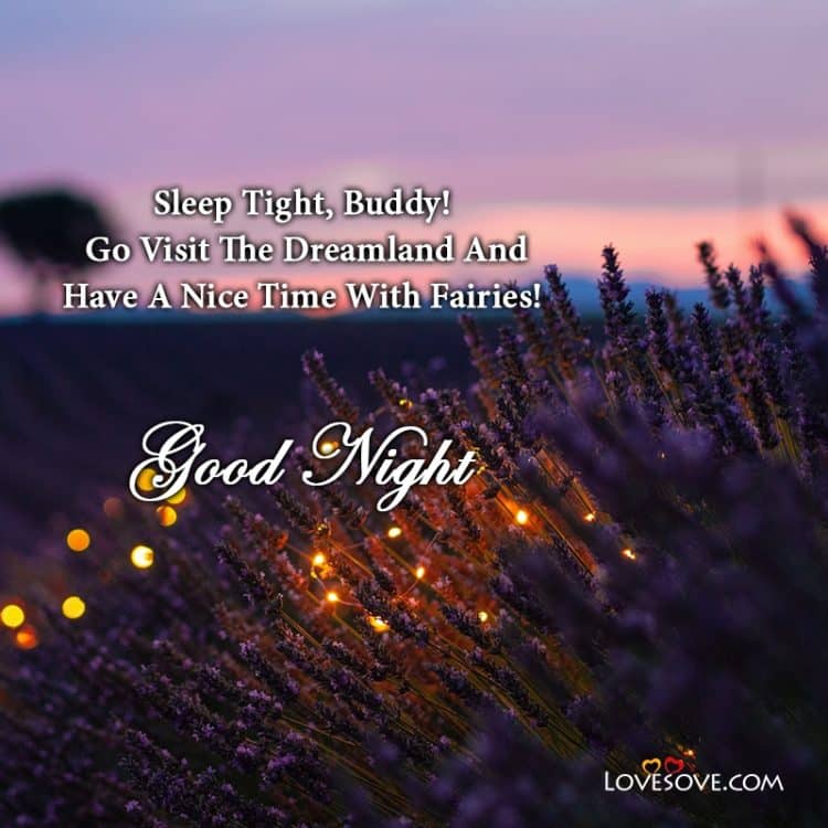 good night message for friends lovesove, daily wishes