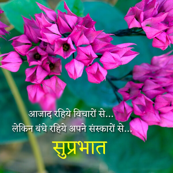 Best 110 Hindi Good Morning Shayari, Good Morning Images