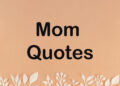 beautiful status for mother, mom quotes