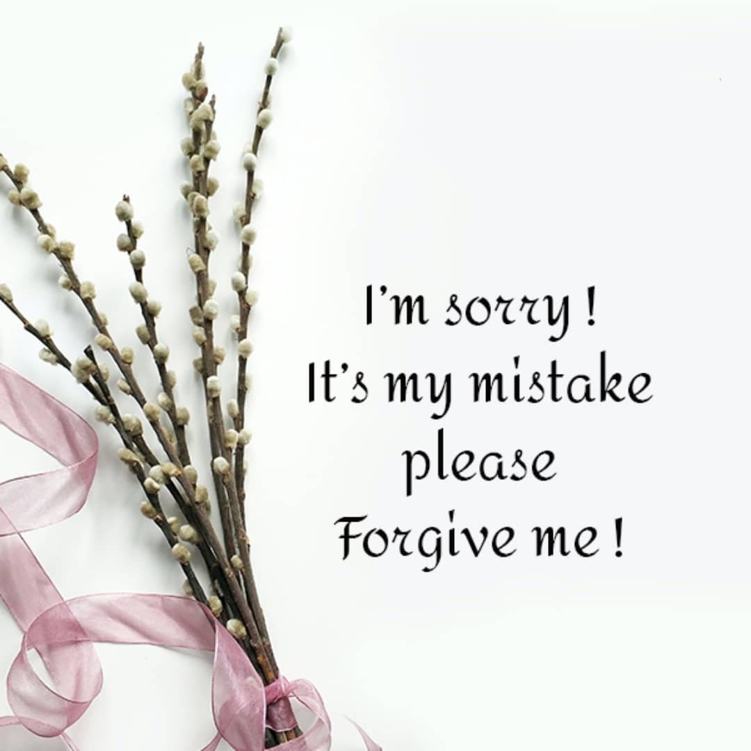 sorry quote lovesove 22, sorry