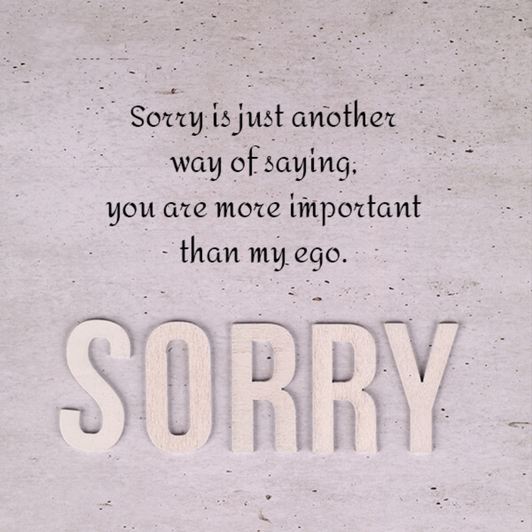 sorry quote lovesove 24, sorry