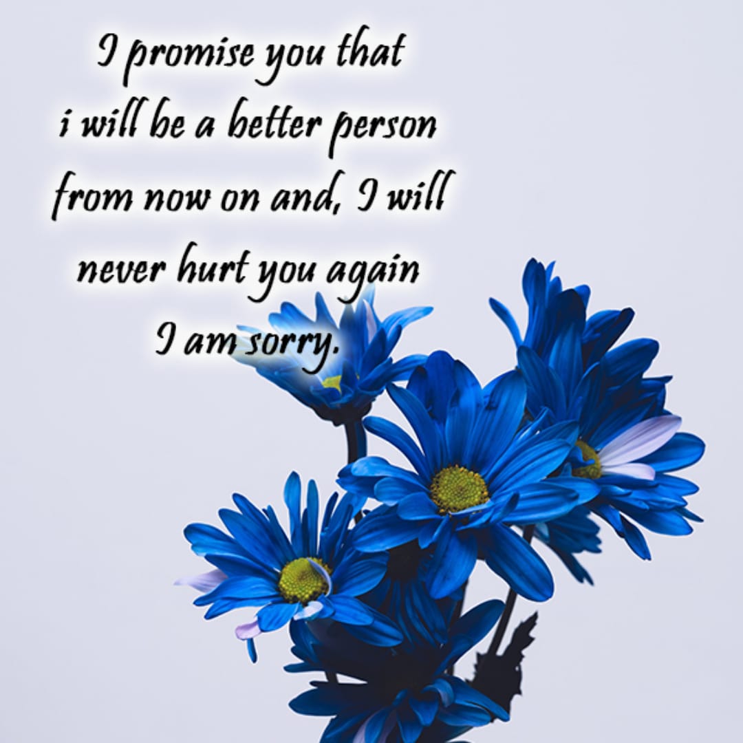 Sorry Quotes For Best Friend, Sorry Messages for Friends