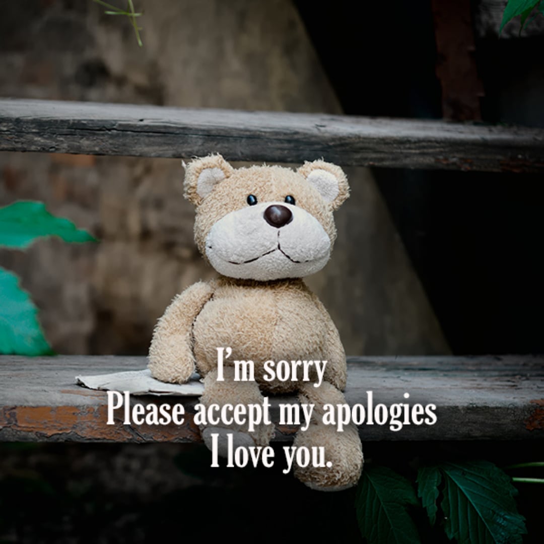 Sorry Quotes For Best Friend, Sorry Messages for Friends