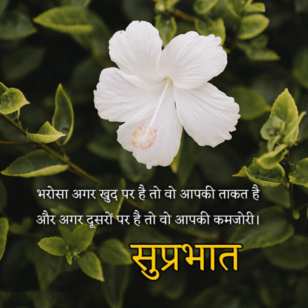 good morning quote hindi lovesove 1, good morning