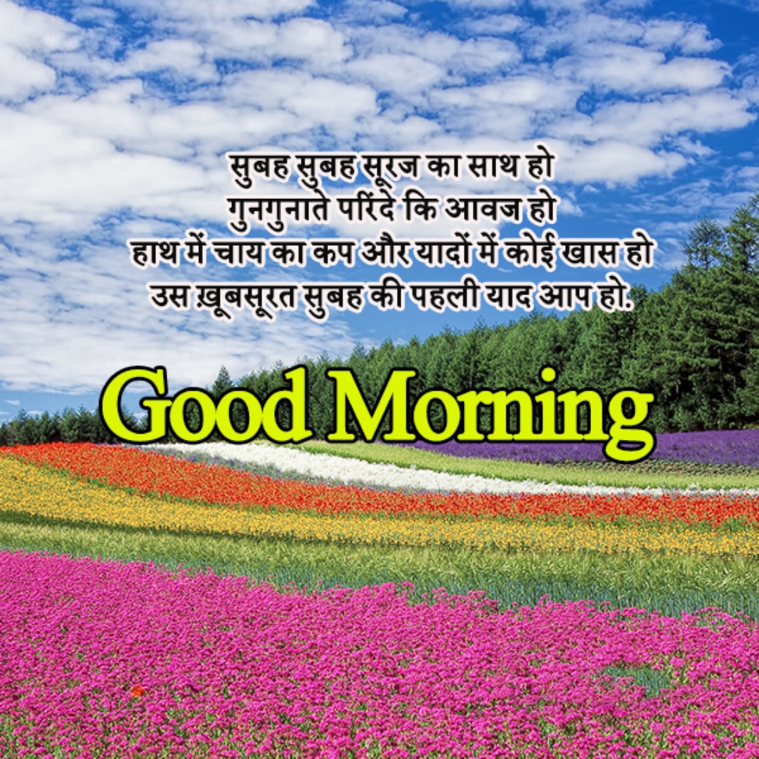 good morning quote hindi lovesove 19, good morning
