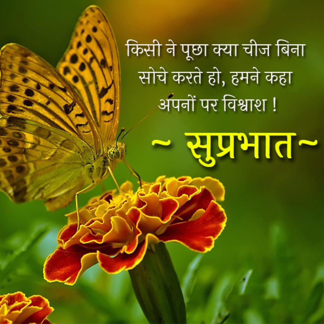 good morning quote hindi lovesove 4, daily wishes