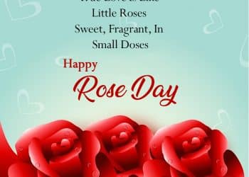 rose day wishes lovesove 3, important days