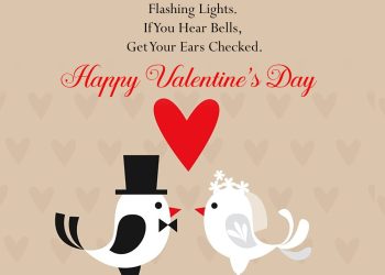 happy valentine day funny wishes lovesaove 1, important days