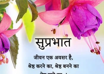 good morning quote hindi lovesove 118, daily wishes