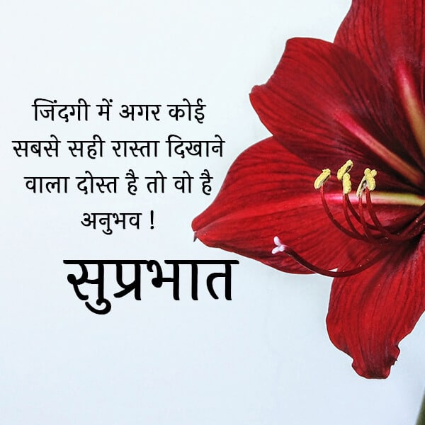 Suprabhat Quotes in Hindi, Good Morning Quotes in Hindi