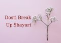 tiny blooming twig pink, sher-o-shayari