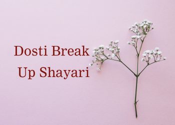 tiny blooming twig pink, sher-o-shayari