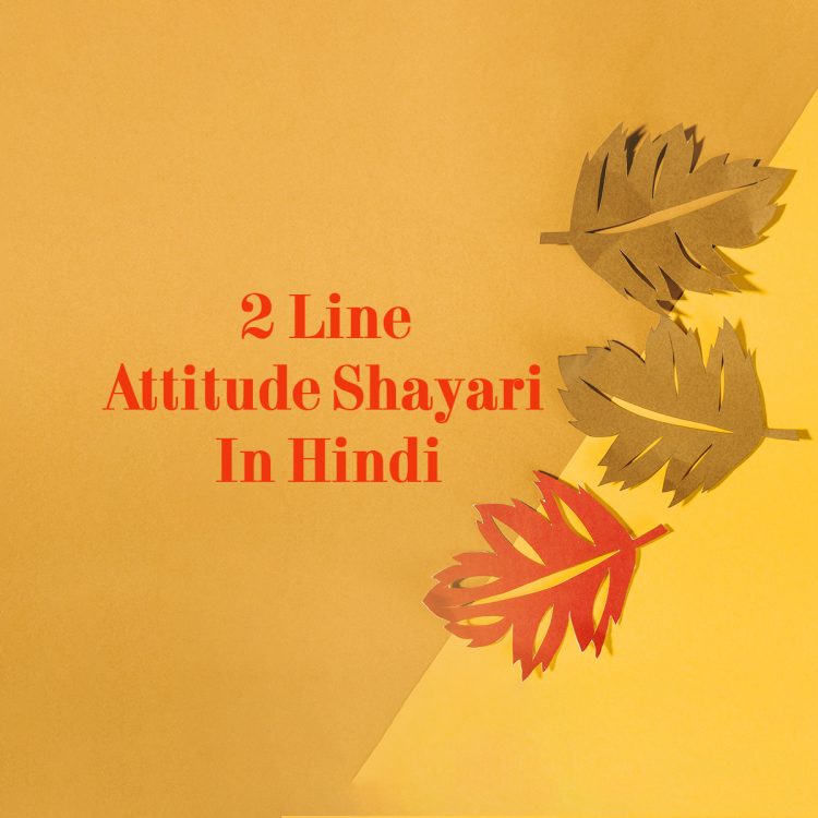 2 line attitude shayari, swag attitude shayari images