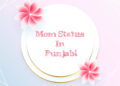 heart touching quotes on mother in punjabi, mom status in punjabi