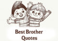80+ best brother quotes, brother love images