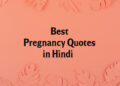 best pregnancy quotes hindi lovesove, important days
